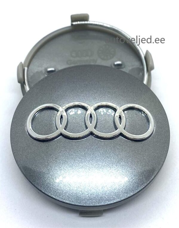 Audi Grey