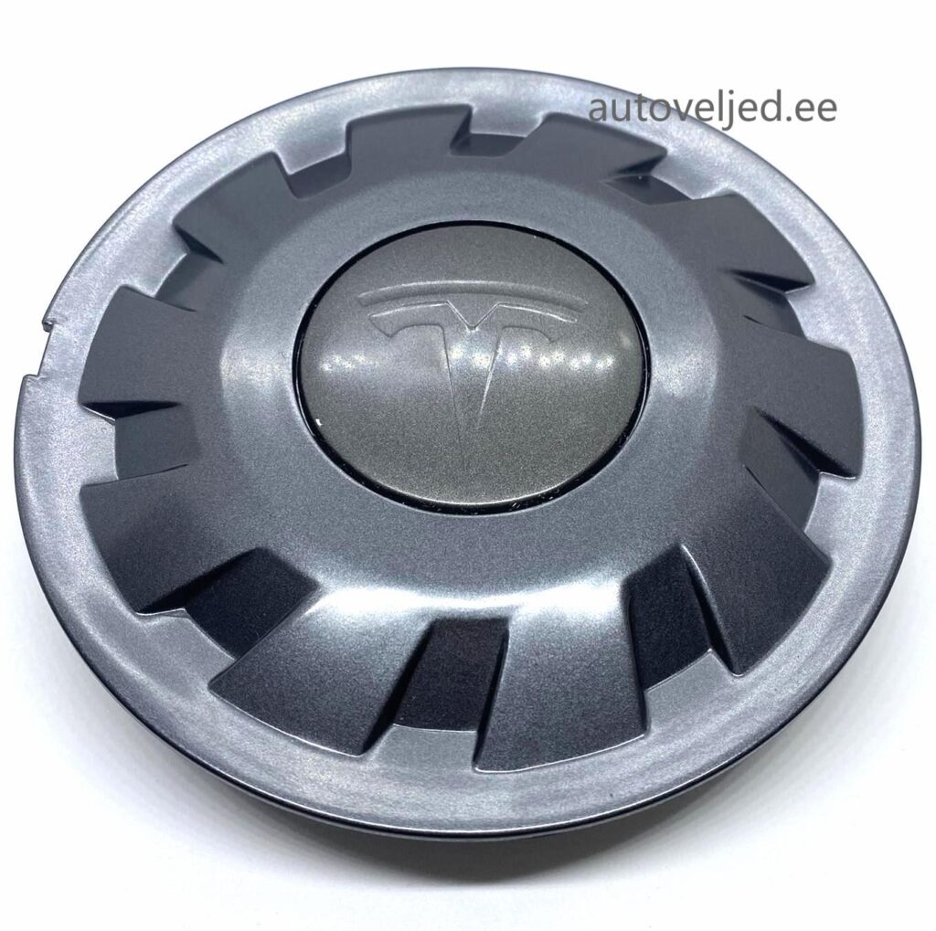 Tesla Modul Y